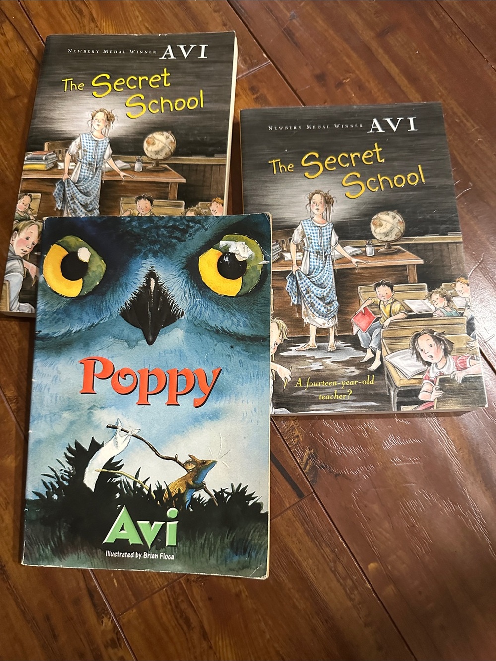 3 Avi Books Lot Poppy + 2 The Secret School Newbery Winner Homeschool Reading